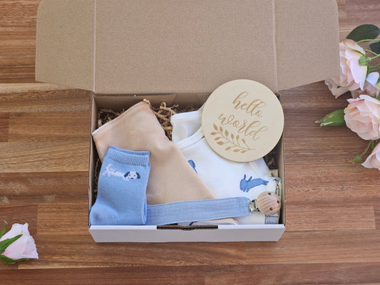 BABY GIFT BOX - Puppy